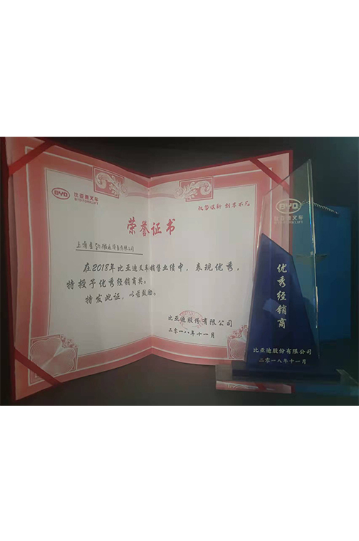 江山市比亚迪2018优秀经销商